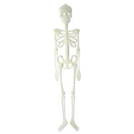 Esqueleto Plastico