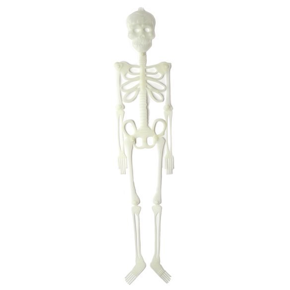 Esqueleto Plastico