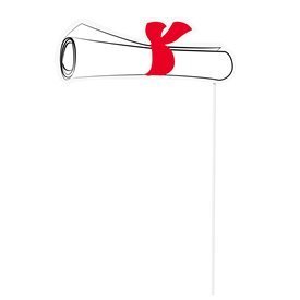Accesorios Photocall Graduacion Divertidos (10)